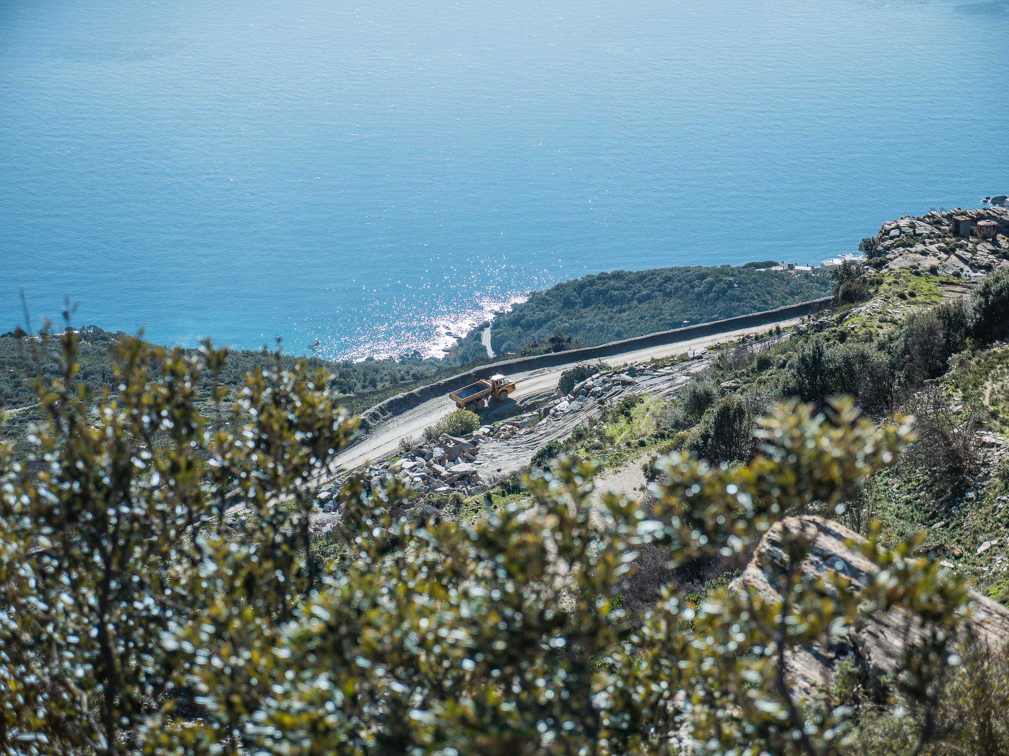 Carrière de Brando